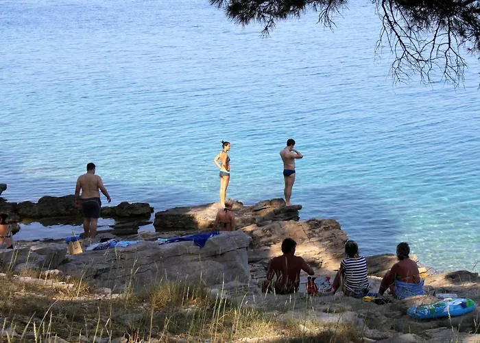 Апартаменты 8100a Божава